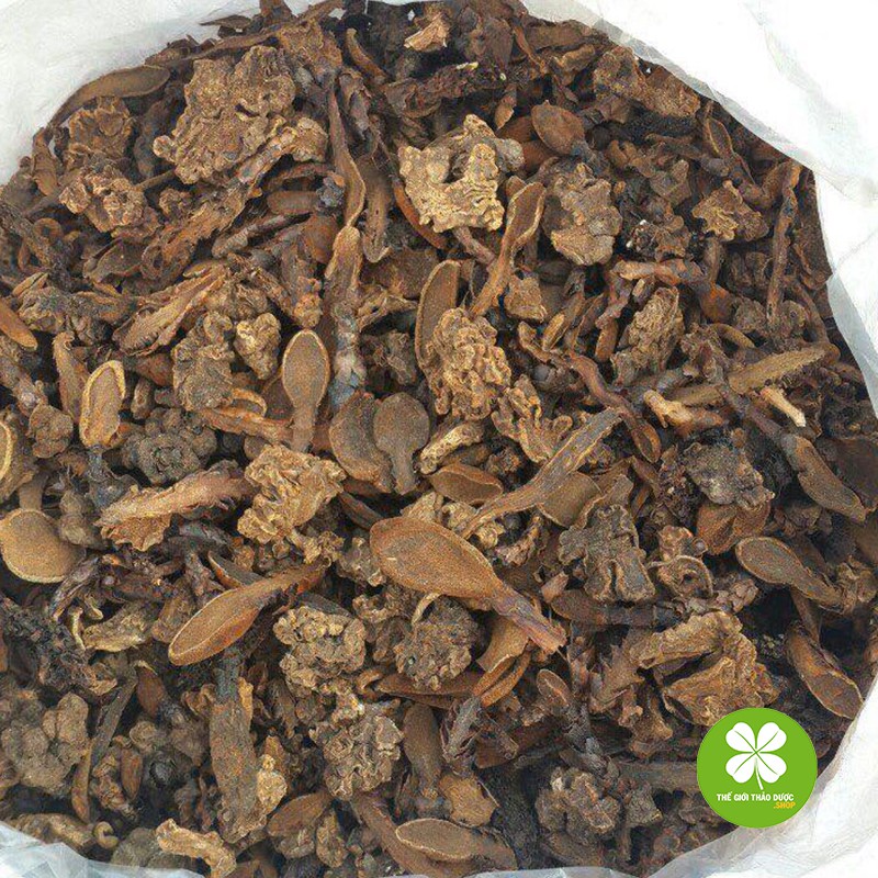 Nấm ngọc cẩu khô (gói 1kg) - TD033