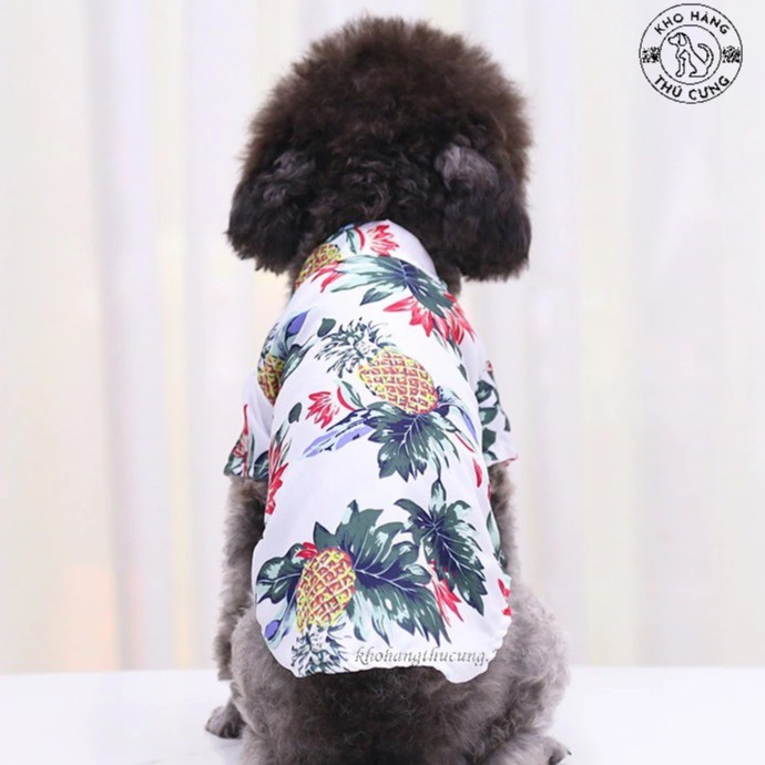 ÁO SƠ MI HOA DỨA- TRẮNG (Size từ 1- 40kg)