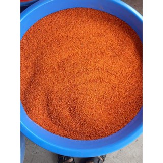 muối tôm tây ninh nhà sấy.