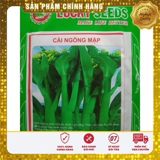 Hạt Giống Rau Cải Ngồng(20gr)