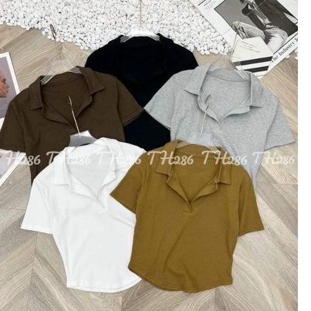Áo phông cổ bẻ vạt bầu hàng QCL1