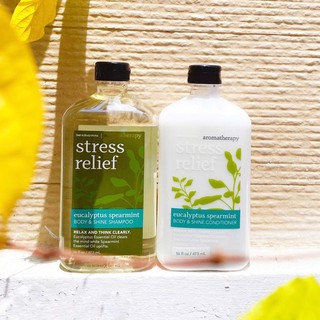 Bộ gội xả Bath&Body Works Stress Relief Spearmint