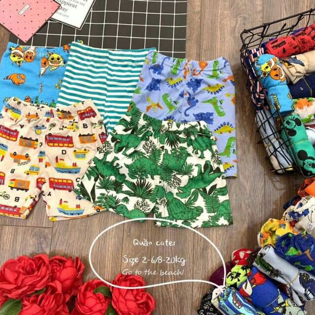 Combo 5 quần bozip cho bé trai