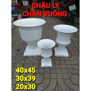 Chậu nhựa ly chân vuông 4t