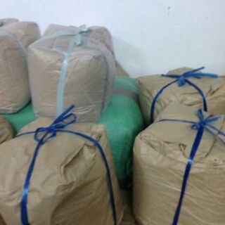 Hạt Dưa Hùng Ký