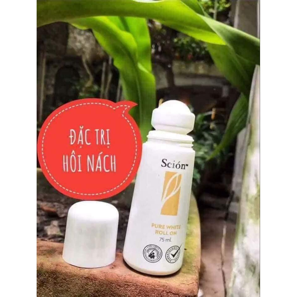 Lăn Nách SCION từ Mỹ | BigBuy360 - bigbuy360.vn