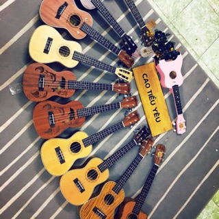 Bao da + Concert Ukulele Cao Tiểu Yêu