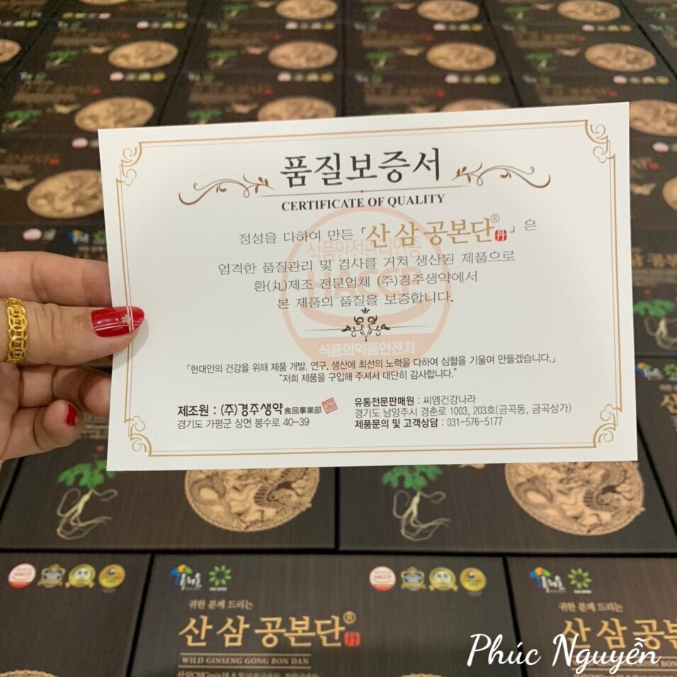 Viên Nhân Sâm Núi Wild Ginseng Gong Bon Dan Hàn Quốc - Hộp gỗ 30 viên