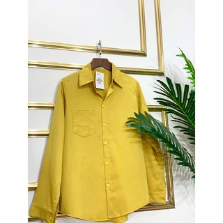 Áo Sơ Mi Công Sở Chất Mềm Cao Cấp, Cực Sang ( Nhiều Màu)