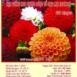 Hạt Giống Hoa Thược Dược Tổ Ong Mix