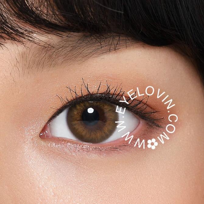 Eos Eyelovin Softlens - Vòng Tròn Tây Ban Nha Màu Nâu | BigBuy360 - bigbuy360.vn
