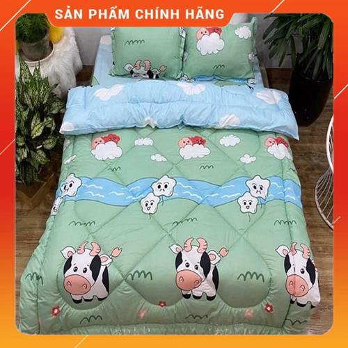 Bộ chăn phao trần bông ga gối 5 món chất liệu cotton poly đồng bộ màu sắc nhã nhặn | BigBuy360 - bigbuy360.vn