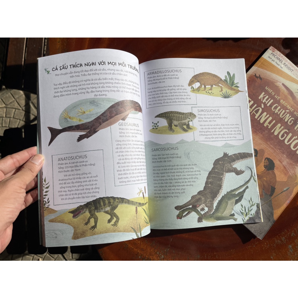 Sách - [Combo 2 cuốn] Thời cá voi biết đi – Khi chúng ta thành người– In màu toàn bộ - Huy Hoàng Book