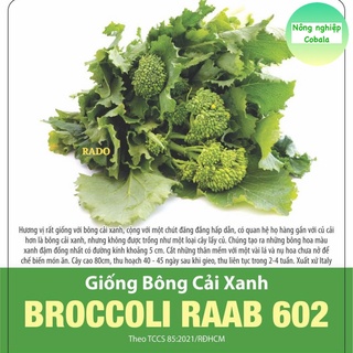 Hạt giống bông cải xanh baby, lơ baby 5gr