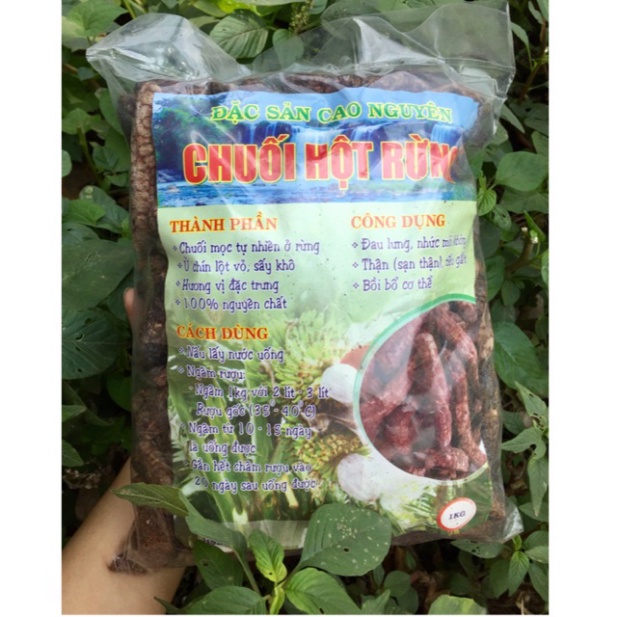 1kg Chuối hột rừng Tây Nguyên -dltd (FREESHIP)