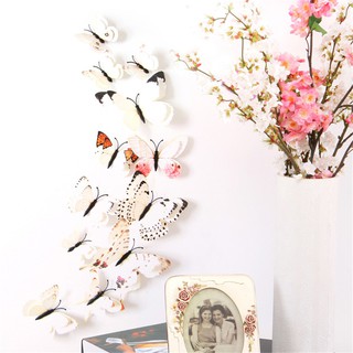Set 12 bươm bướm nam châm 3D gắn tường trang trí đẹp mắt