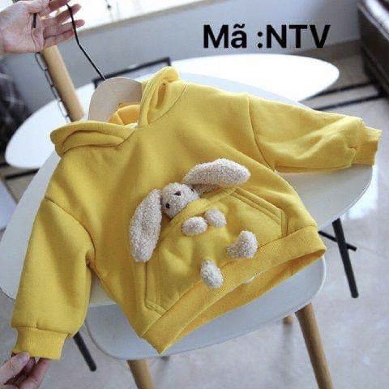ÁO NỈ BÔNG HODIE CHO BÉ