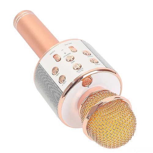 Microphone Karaoke Kèm Loa WSTER WS-858