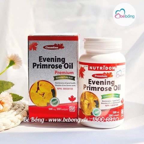 Anh thảo David Health Evening Primrose 30v