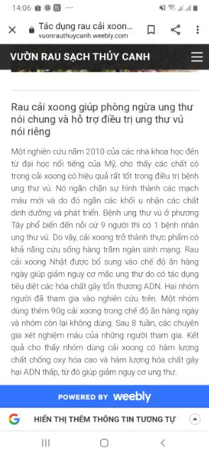 Cây giống cải xoong nhật(xà lách xoong)