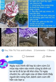 TÚI CHƯỜM MUỐI NGẢI CỨU
