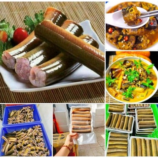 🪱🪱lươn vàng. khay 500g,‼️ giao ngay 🚛