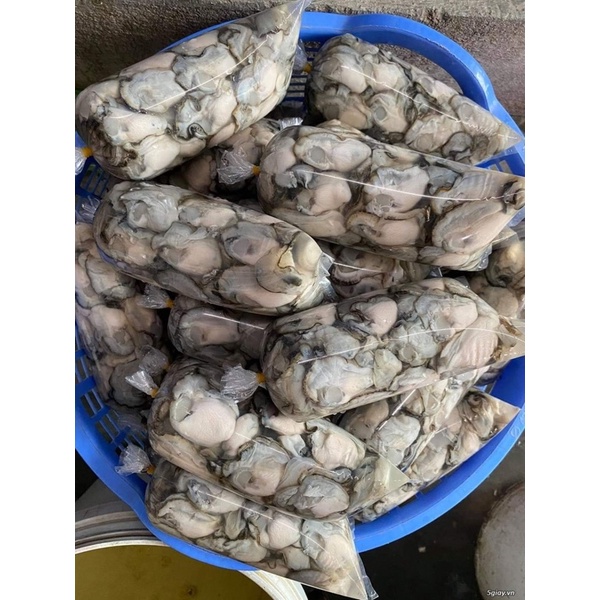 Thịt hàu sữa - 0.5kg/phần