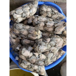 Thịt hàu sữa - 0.5kg/phần