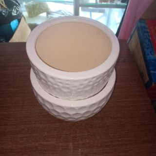 Chậu Sứ Trắng Trồng Cây - Mã C1, C2