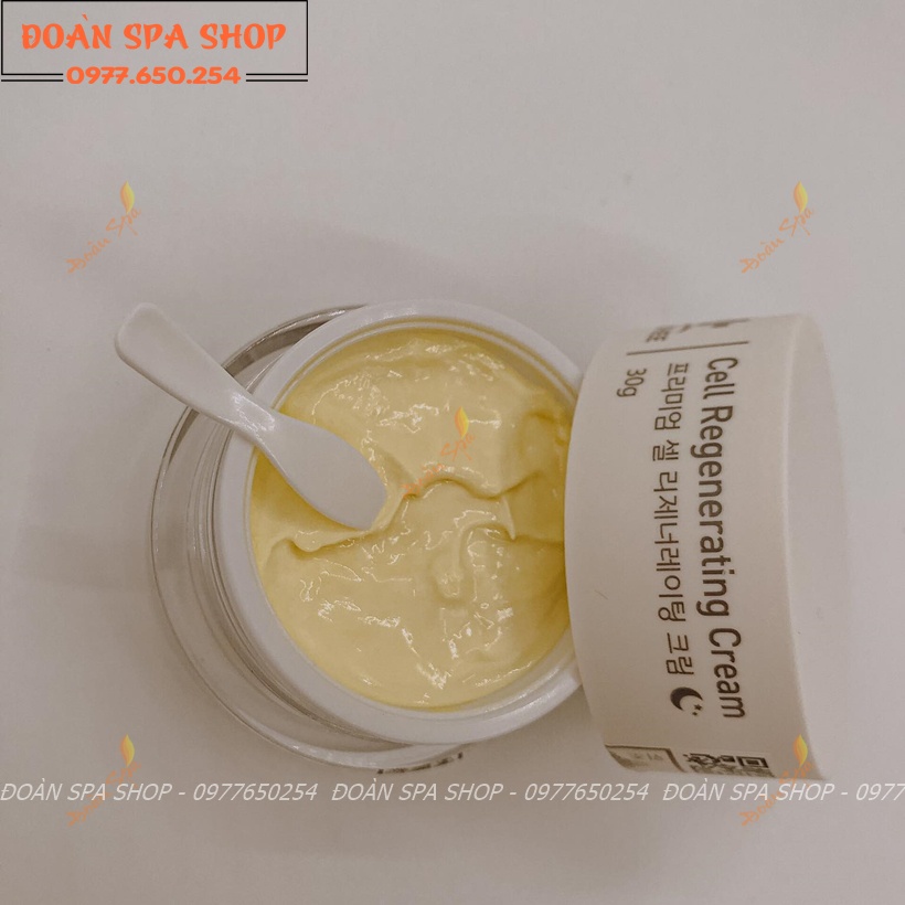 SÉT KEM NGÀY & ĐÊM DR SHEE