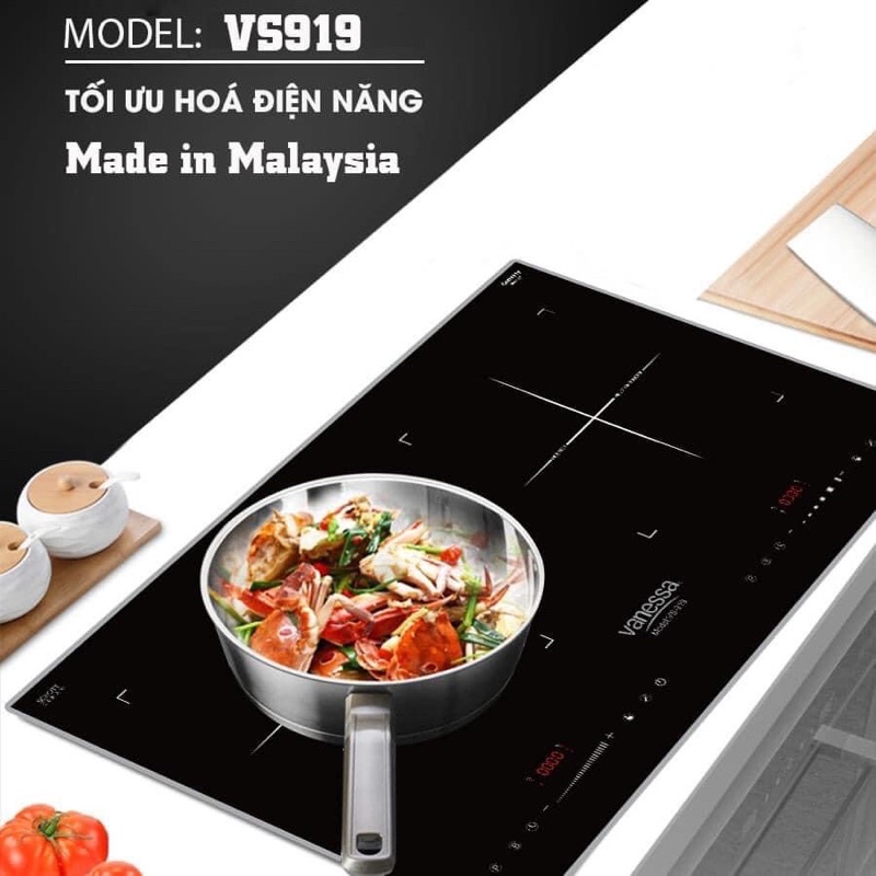Bếp Điện Từ nhập Nhập Khẩu Vanessa model vs 919