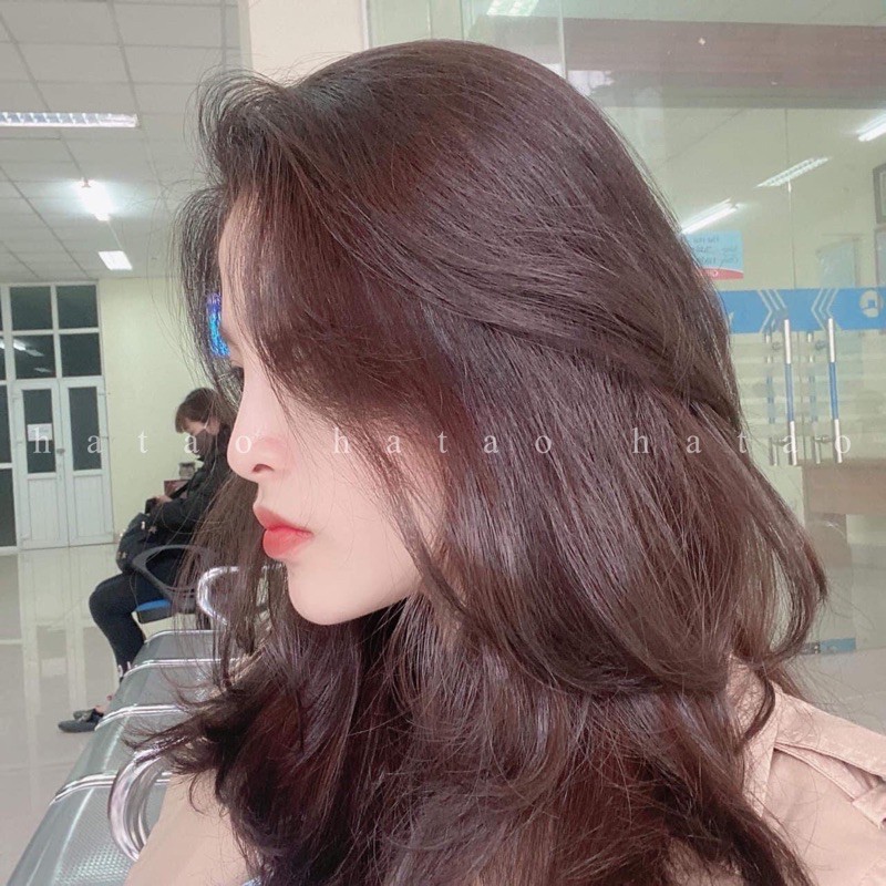 Thuốc nhuộm tóc màu Nâu Cánh Dán(không tẩy) kèm trợ nhuộm 100ml