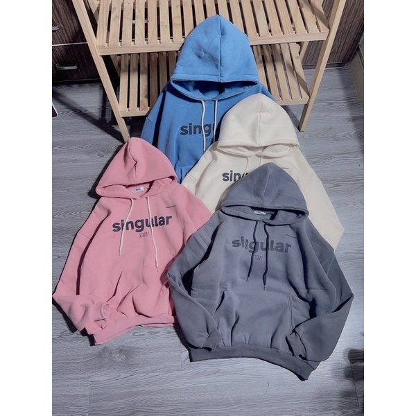 Áo nỉ hoodies mũ 2 lớp in chữ hàng đẹp