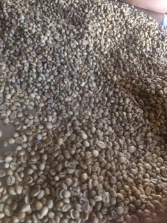 [FREESHIP 99K TOÀN QUỐC]Cà phê nhân robusta 1 kg ( chưa rang)