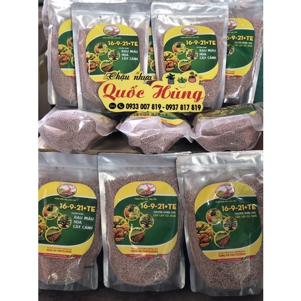 Hạt giống các loại hoa