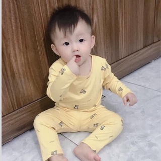 combo 100k 3 bộ Thun lạnh hàng  peekapoo và minky mom