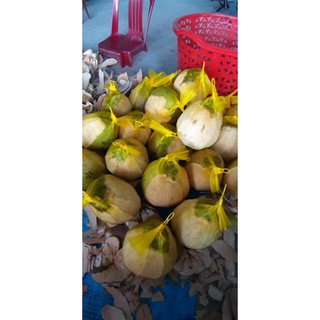 Dừa sáp Đặc Sản Cầu Kè(loại sệt)