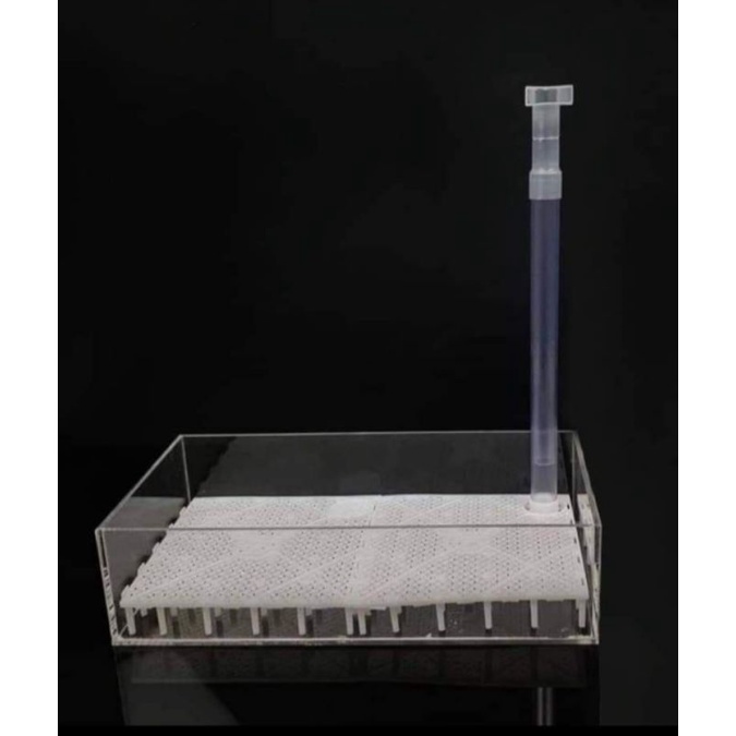 Hộp lọc đáy hồ tép,cá