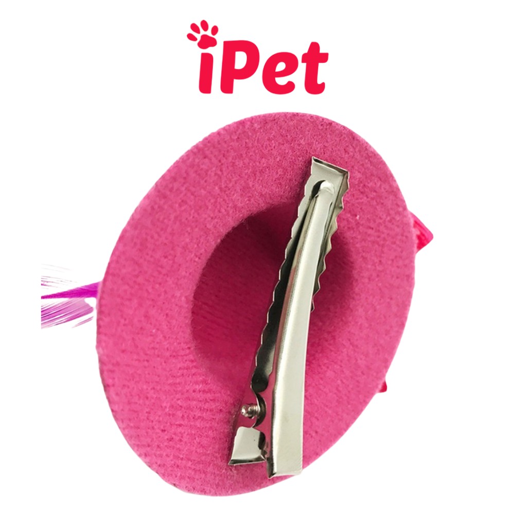 Kẹp Nơ Hình Nón Lông Vũ Dễ Thương Cho Chó Mèo - iPet Shop