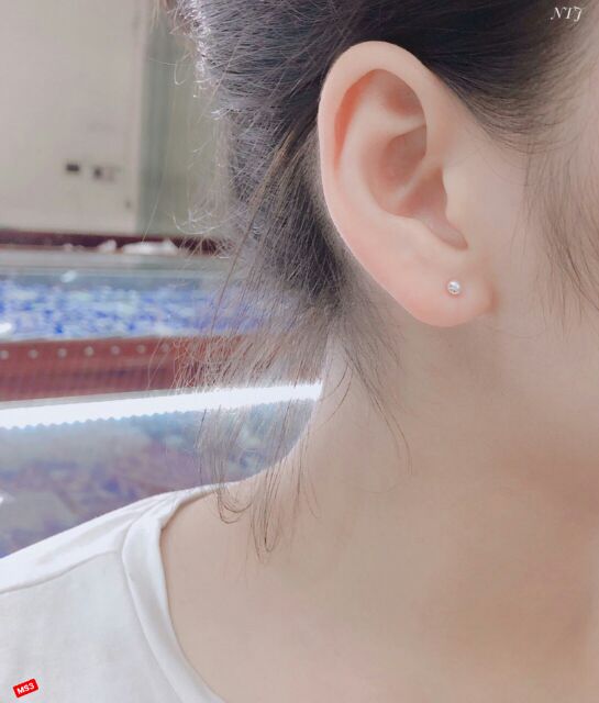 Bông tai nụ bạc ta-BM40