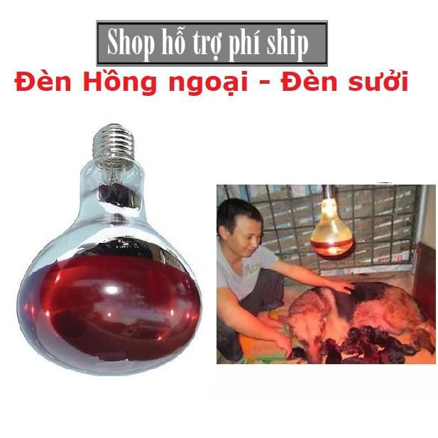 Hỗ trợ Ship- Đèn hông ngoại sưởi ấm thú cưng - 175w ( 2loại) Đèn sưởi  cho chó mèo nhỏ và sưởi chó mèo lớn vào mùa đông