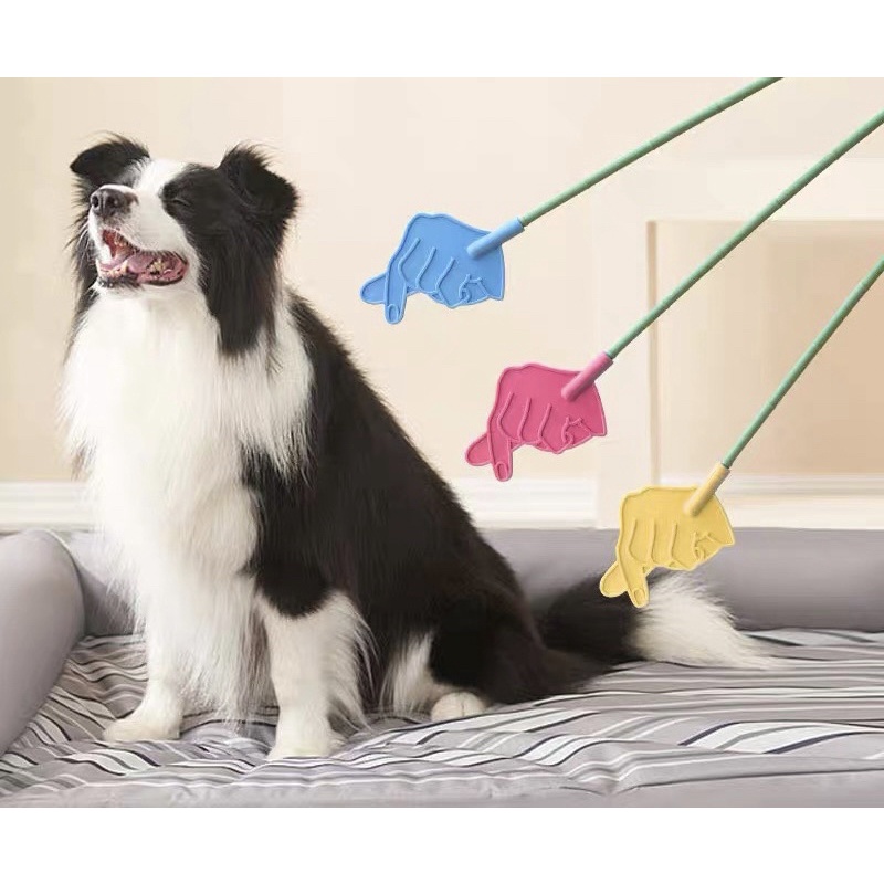 [ MẪU MỚI ] Gậy tét đít chó - huấn luyện cho chó