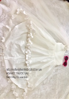 Đầm công chúa của C. Bích Trâm