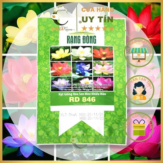 Hạt Giống Hoa Sen Mini Nhiều Màu RD 846
