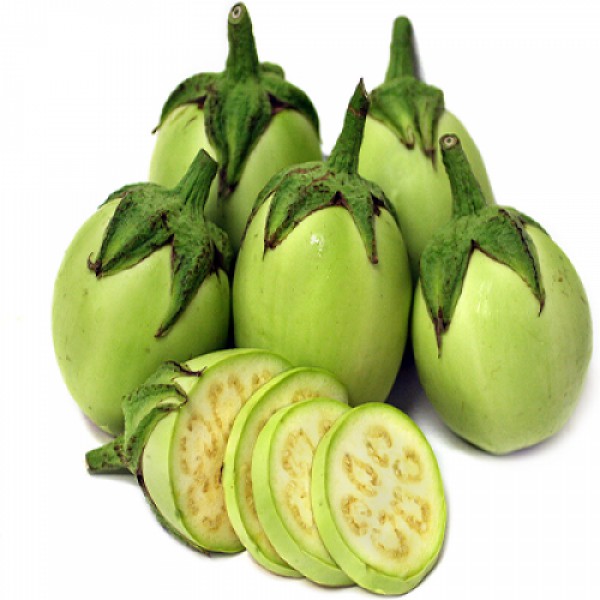 Hạt giống cà pháo xanh năng suất cao