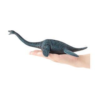 Mô hình Khủng long Plesiosaurs kích thước lớn