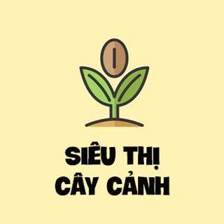Sieuthicaycanh