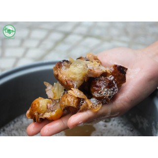 Quả bò hòn tách hạt
