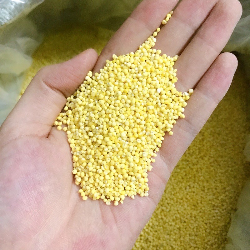 500g Hạt Kê nếp Nghệ An loại 1 không sạn | BigBuy360 - bigbuy360.vn