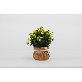 Chậu cây giả, hoa giả trang trí CITA - đẹp, cao cấp, giá rẻ - để bàn phòng khách, phòng làm việc - MAGNUM